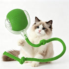 FurBuddy Smart Rolling Ball
