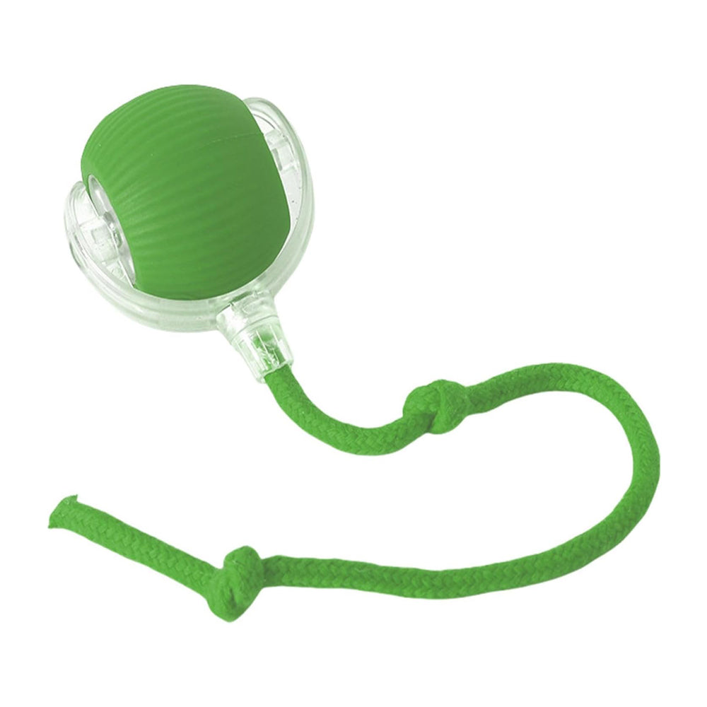 Cat chasing FurBuddy self-rolling smart ball toy