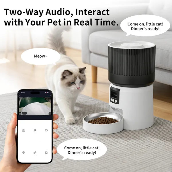 Smart pet feeder dispensing food for cat