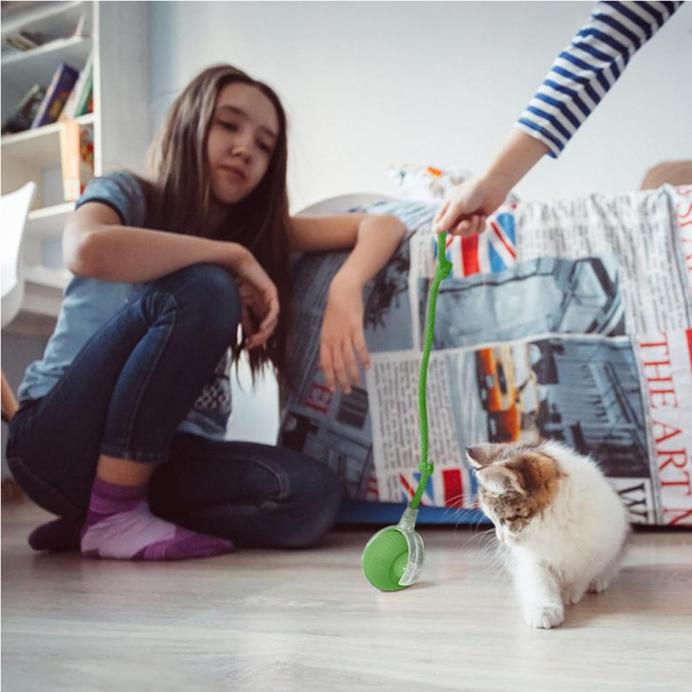 Automatic moving pet ball toy for cats and dogs