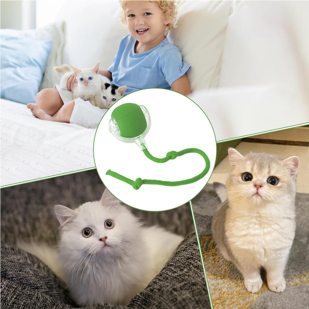 FurBuddy smart rolling ball in green