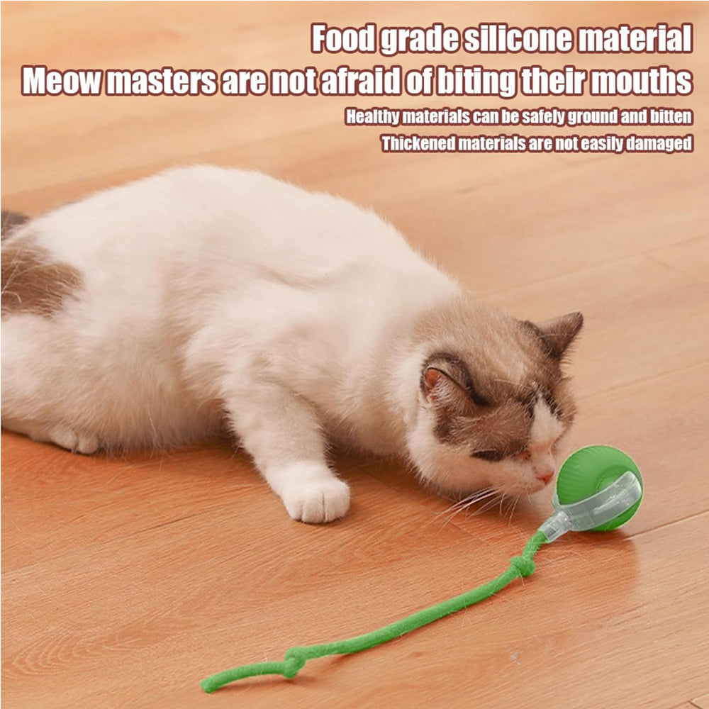 USB rechargeable interactive cat toy ball