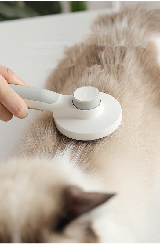 Cat grooming brush detangling knots gently