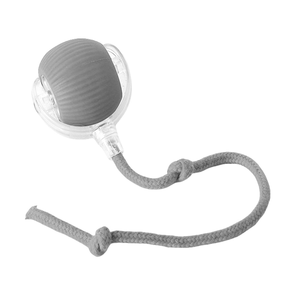 Electric rolling pet toy ball in three colors