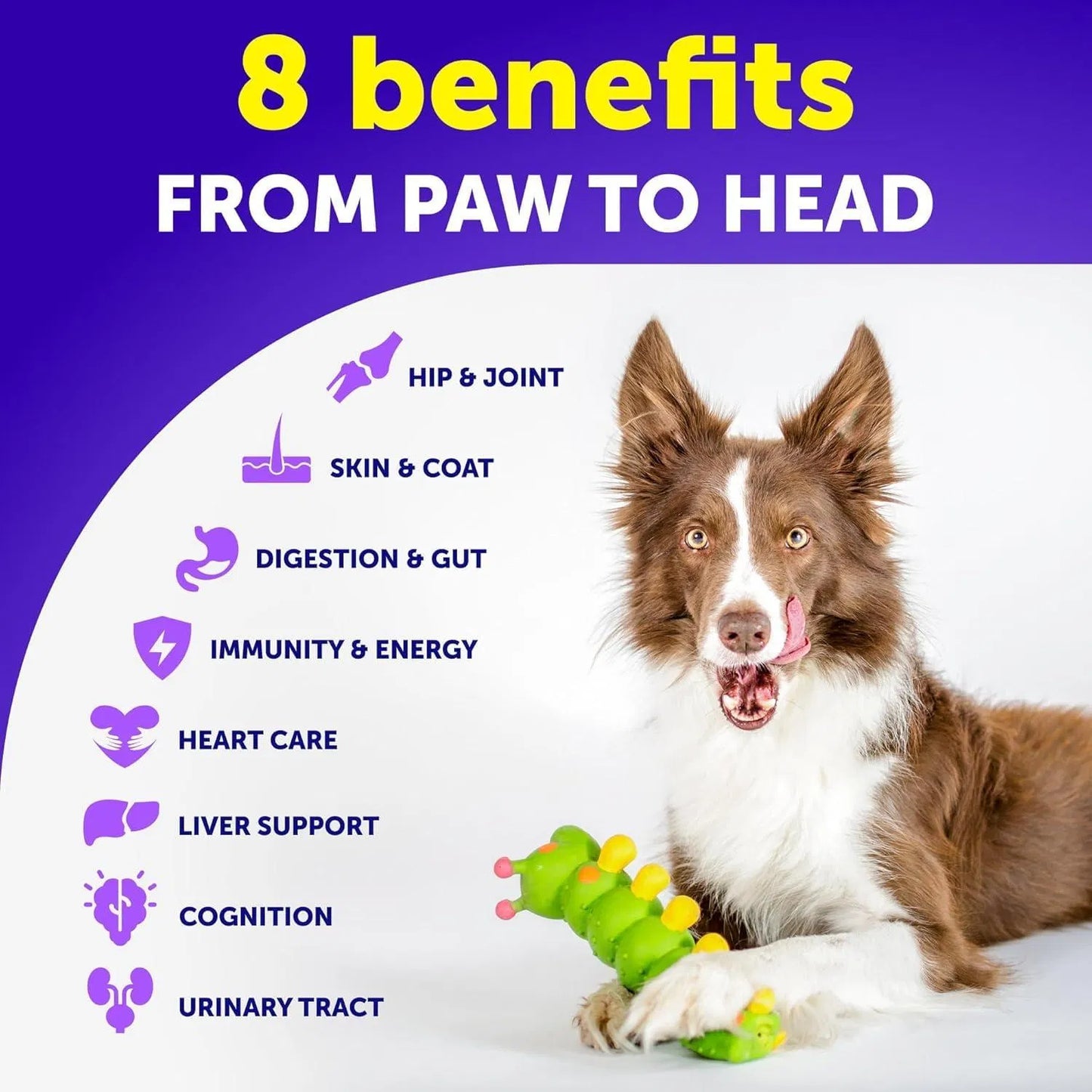 FurBuddy Dog Multivitamin 20-in-1