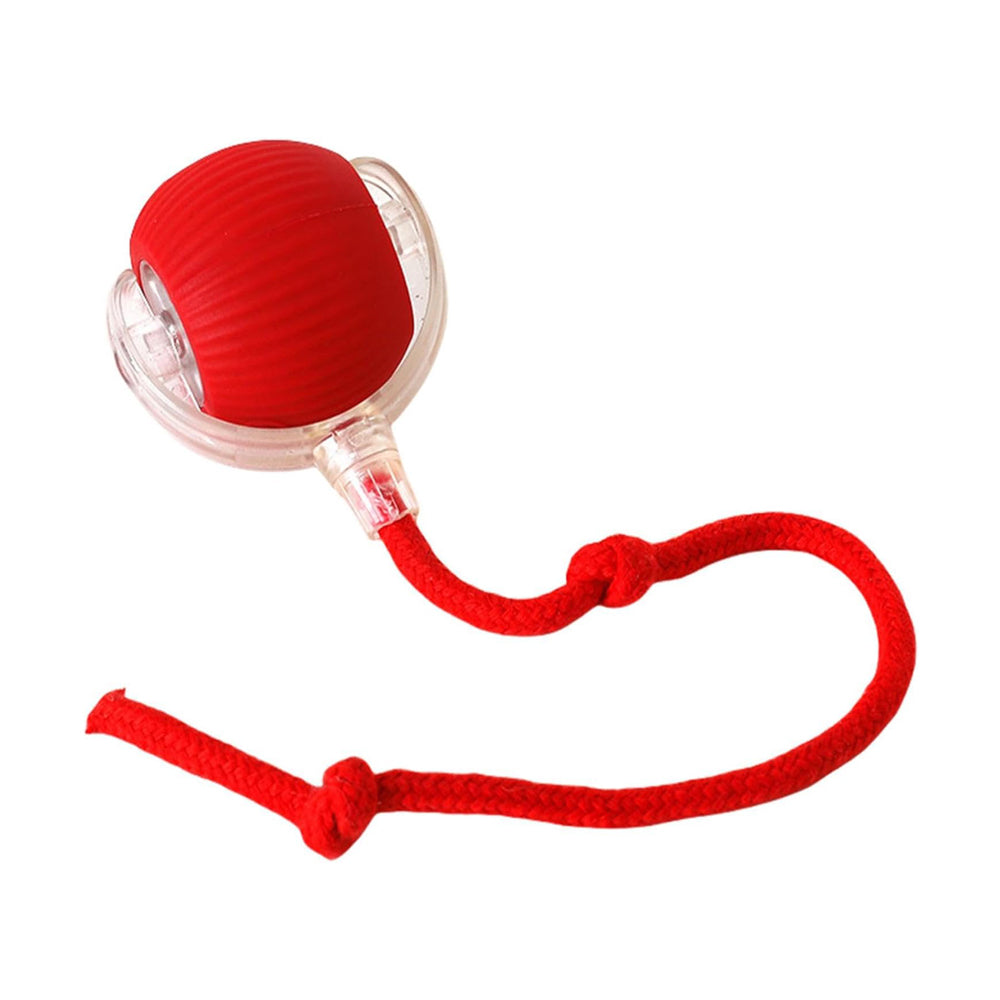 FurBuddy smart rolling ball triggering hunting instinct